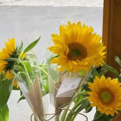 彩神lllv入口下载手机版截图